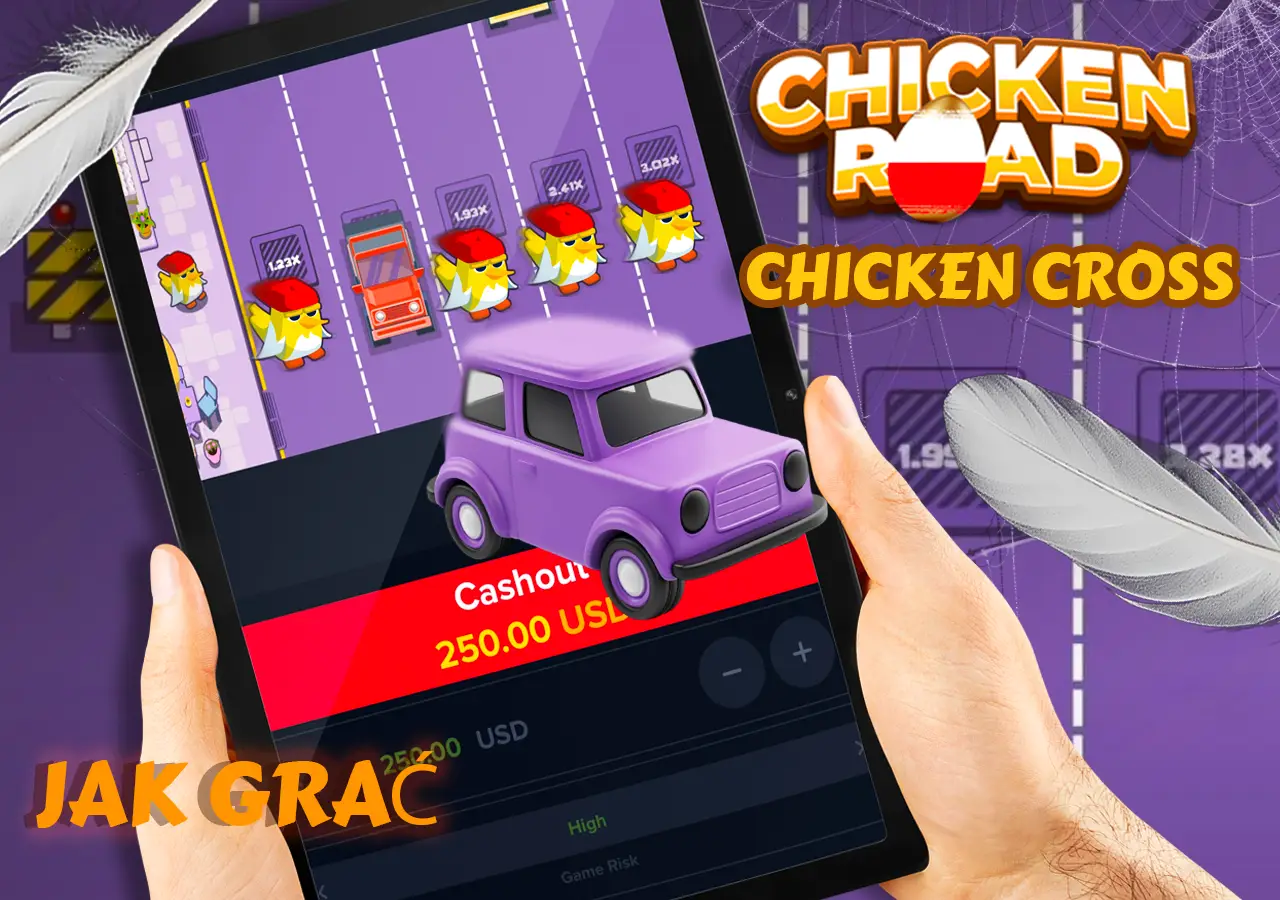 Zadanie polega na przeprowadzeniu ptaka przez kilka pasów ruchu, omijając nadjeżdżające samochody.